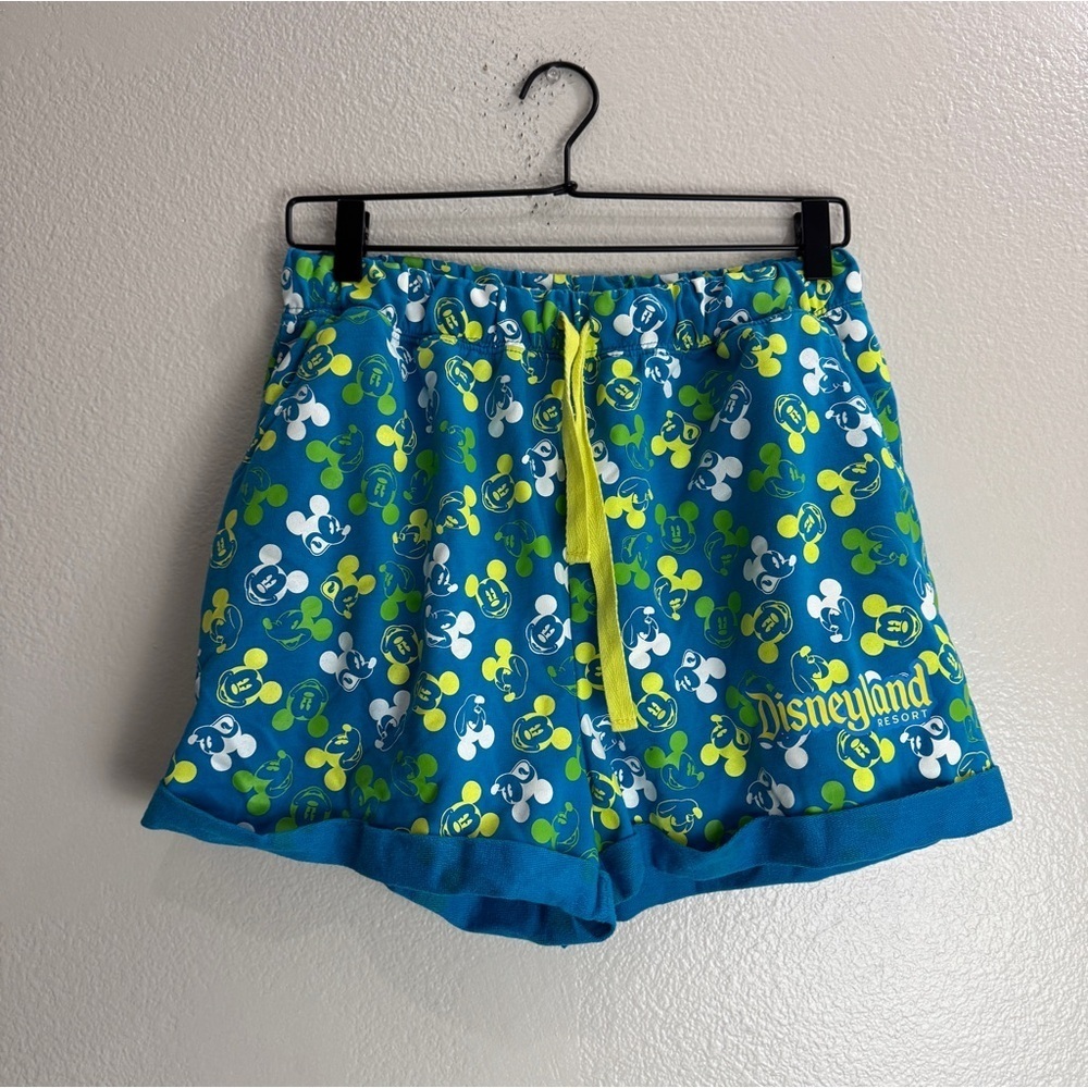 Disneyland Resort Vintage Shorts Size Large
